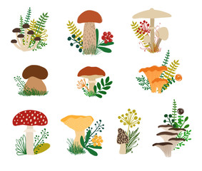 Autumn Collection Or Forestl Mushrooms And Plants.