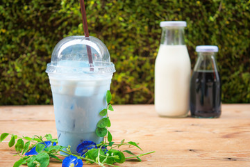 Iced Blue pea milk or Iced Butterfly Pea Latte with milk