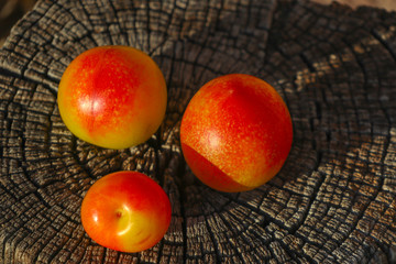 three plums on tree stump and very nice light