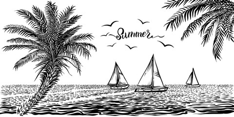 Sea or ocean tropical view with sailboats and palms. Vector panoramic beach drawing.
