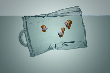 Plastic bag with fish, pollution that floats in the ocean