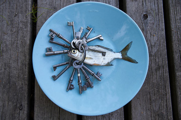 Small silver fish on a blue plate with antique key and wooden grey background. Eating more cyprinid and barb fishes is considered one of the possible solutions for food shortages and climate change. 