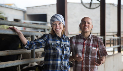 Fototapeta na wymiar Two technicians posing near cowhouse in modern farm