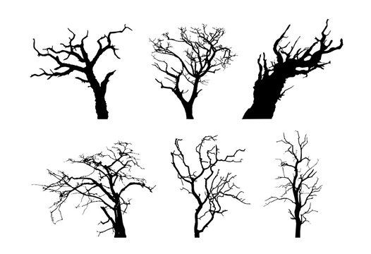 Old leafless tree silhouette vector  illustration set