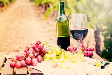 still life with glass of red wine and grapes