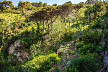 Italy, Capri, panorama from the top of the island