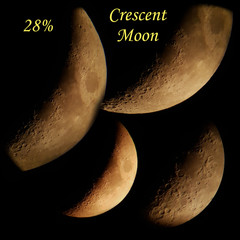 Luna crescente 28% © Steve Fossiant