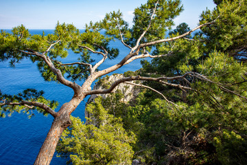 Italy, Capri, panorama from the top of the island