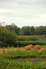 hay rolls at the end of the summer