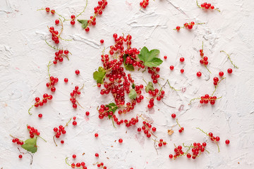 flat lay of red currant  branch with green leaves.