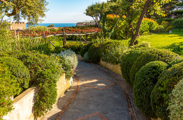 Fototapeta na wymiar Italy, Capri, avenue in the gardens of Augustus