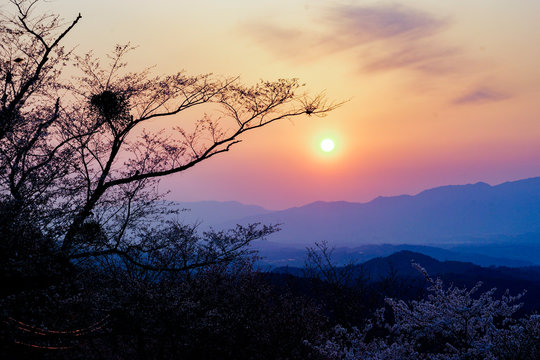 Sunset Scene In Countryside, Japan