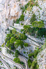 Italy, Capri, view of the old Krupp road going to small marina