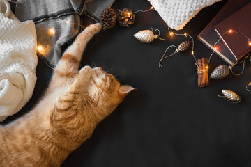 Winter hygge concept