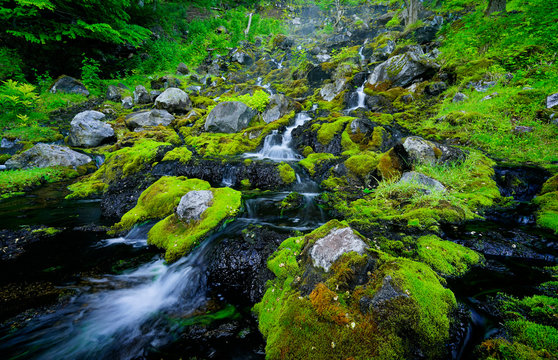 rare waterfalls with mangan 