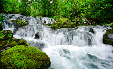 waterfall in forest
