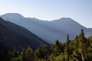 Beautiful mountain landscapes with sunny green forest, Albania       Albania