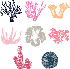 Corals hand drawn vector set, sketch elements of different corals and seaweed.