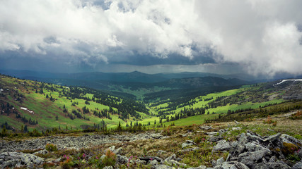 Green meadows in the mountains in summer on a cloudy day