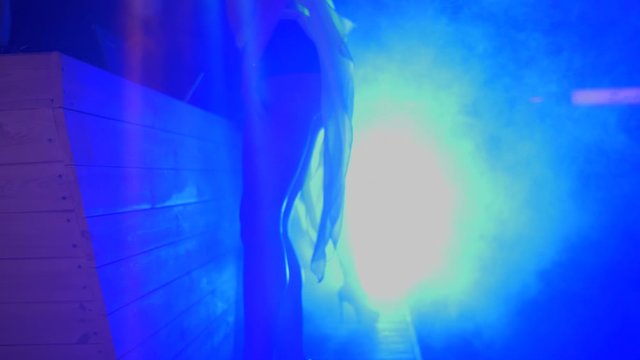 beautiful go-go, professional dancer moves his body in a night club at a celebration party