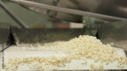 Production Cottage Cheese Making Process Stock Footage And