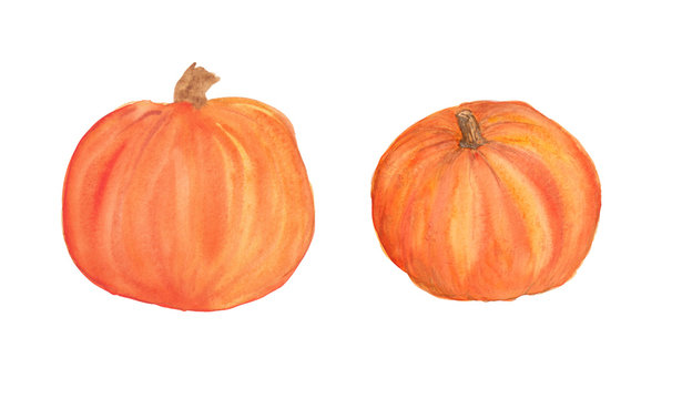 watercolor illustration of two orange pumpkins