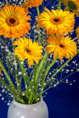 A vase full of Golden Gerberas (Asteraceae) flowers