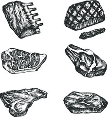 Meat steaks hand drawn vector set, sketch meat set.