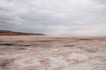 sand dunes in the desert
