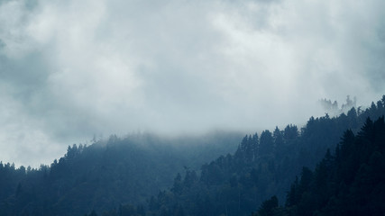 the tops of the mountains with a forest in the fog