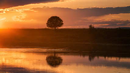 orange bright sunset on the river with tree reflection in the water and floating ducks