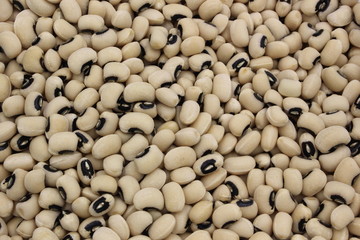 black eyed peas on a white background