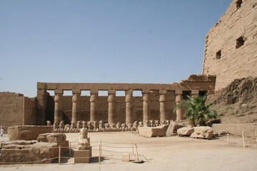 Fototapeta premium Pillars of the Great Hypostyle Hall from the Precinct of Amun-Re at karnak temple, egypt