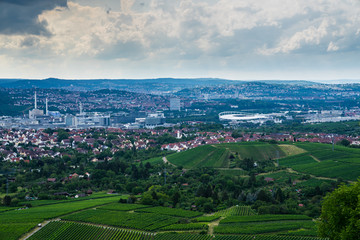 Fototapeta na wymiar Germany, Aerial view above green vineyards next to houses and arena of stuttgart city in basin surrounded by nature landscape
