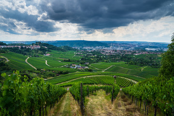 Fototapeta na wymiar Germany, Green vineyards above stuttgart city in basin in summertime with dramatic sky of coming thundery front