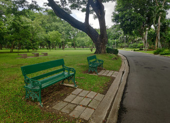 Bench in the garden of Chatuchak Park, where to relax Go with a cloudy day