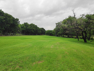 The view in the railway park in the city is full of nature.