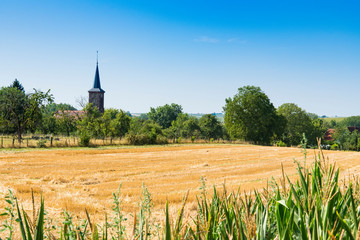 church and yellow landscape of Hunspach, France