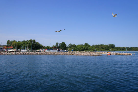 Marina of the holiday destination Klink on M&uuml;ritz lake and flying seagulls, Mecklenburg Lake Plateau, Germany