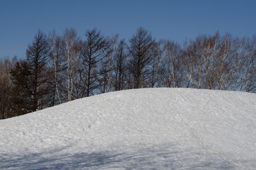 公園の雪山