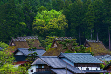 Obraz premium old houses in Japan