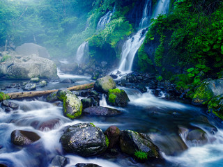 Beautiful Fall in Japan