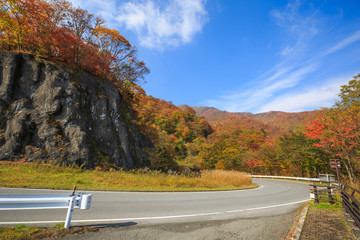 Road along the mountain with leaves turning color - Nikko, Japan