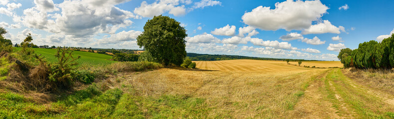 Fototapeta na wymiar Landschaft im Sommer mit Getreidefeld und Himmel