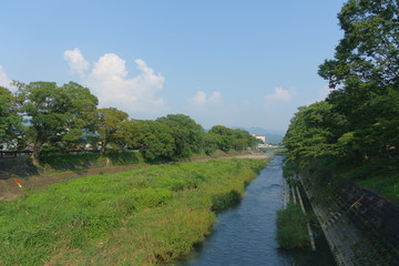 Fototapeta na wymiar 夏空と川と美しいケヤキ並木の風景