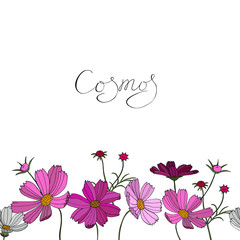 Obraz na płótnie Canvas Floral vector seamless border. Cosmos flower. Hand drawn black lettering. Twigs, leaves, buds. Cute design for pages of books and albums, greeting cards, invitations, packaging.