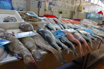 Fresh Fish in Cascais food Market, Portugal