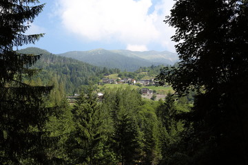 Forests in the Alps in Trentino Alto Adige