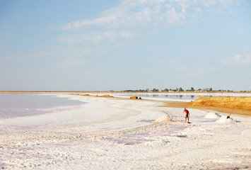 the workers are extracting salt