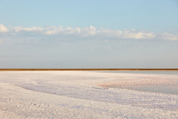 salty beach panorama
